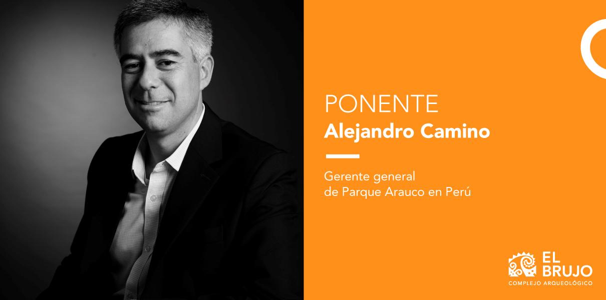 Alejandro Camino obras por impuestos